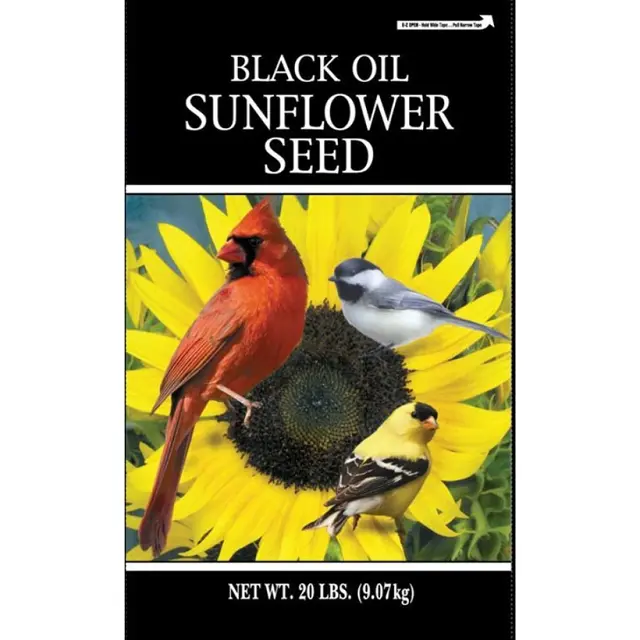 20-Pound Black Oil Sunflower Seeds For Birds 1