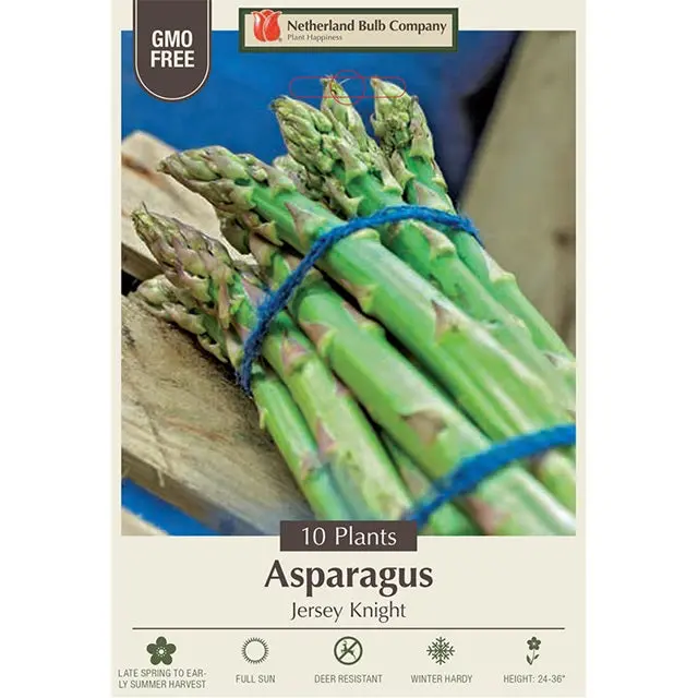 Asparagus Crowns 'Jersey Knight' – 10-Plant Bundle 1