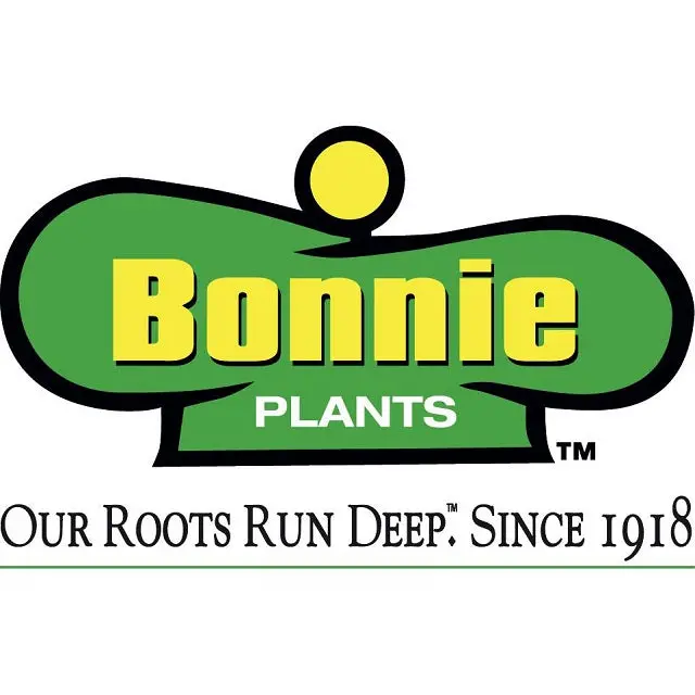 Assorted Vegetable Starter Plants – 4.5-Inch Nursery Pots 1