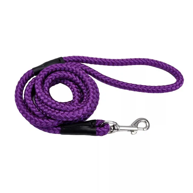 Coastal Rope Dog Leash – 6-Foot Purple Braided Nylon 1