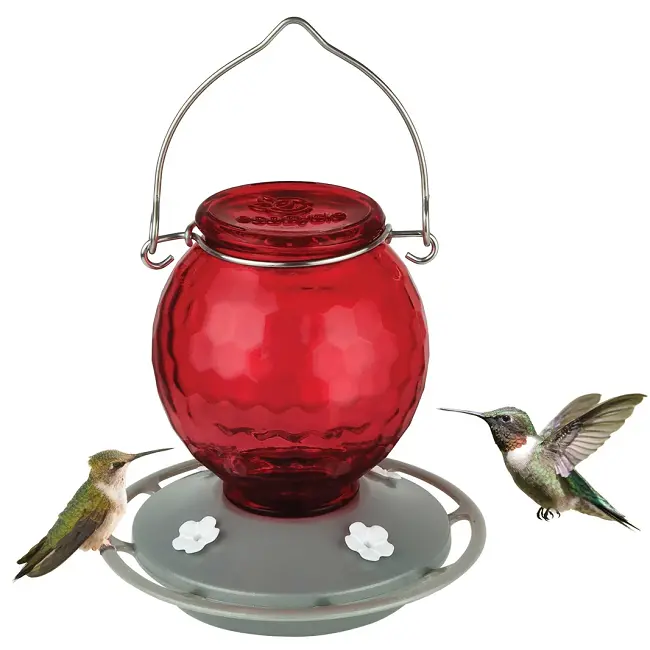 Ecocycle Crimson Comb Hummingbird Feeder – Sustainable Recycled Glass Design 1
