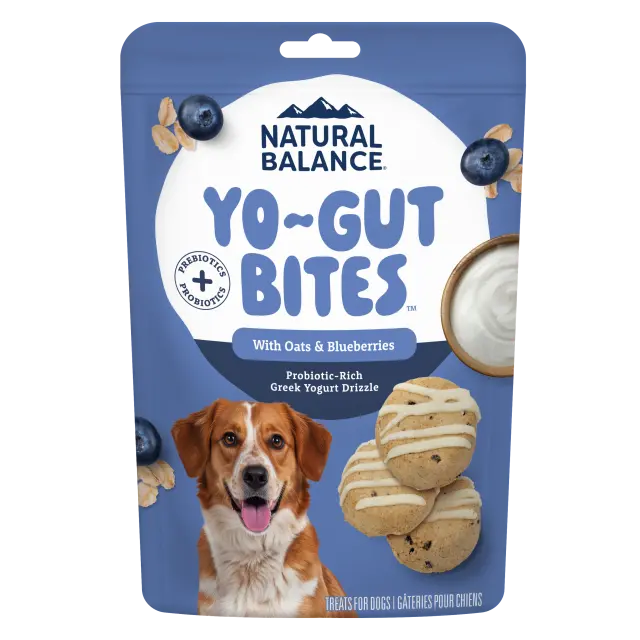 Natural Balance Yo-Gut Digestive Dog Treats – Oats & Blueberry Flavor, 4.5 Oz 1