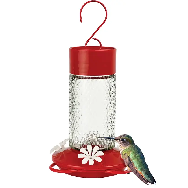Nature’S Way Cherry-Themed Gravity Feed Hummingbird Feeder – Clear Glass 1