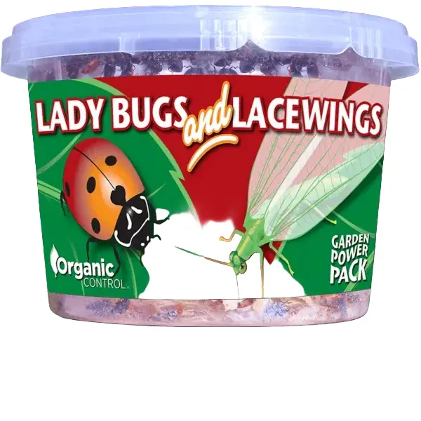 Organic Ladybug & Lacewing Beneficial Insect Garden Kit For Natural Pest Control 1