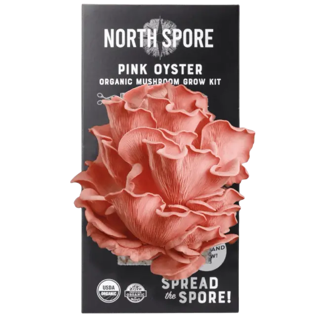 Pink Oyster Mushroom Growing Kit – Organic Spray & Grow System 1