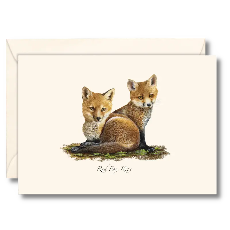 Red Fox Kits Notecard Set – 8-Piece Illustrated Greeting Card Collection 1