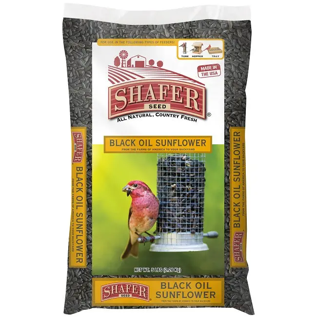 Shafer Black Oil Sunflower Seeds – 5 Lb Bag 1