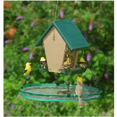 Small 16-Inch Circular Seed Hoop Feeder For Ground And Platform Birds 1