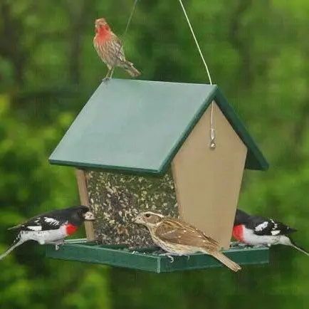 Songbird Essentials Recycled Plastic Hopper Bird Feeder – Large Capacity 1