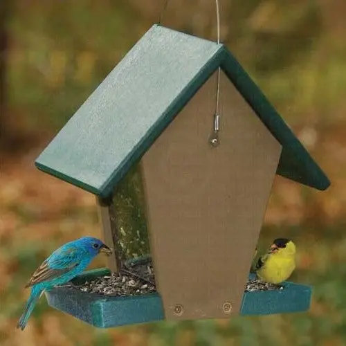 Songbird Essentials Recycled Plastic Small Hopper Bird Feeder 1