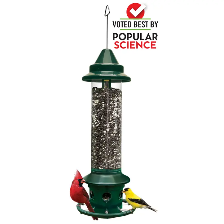Squirrel Buster Plus Smart Bird Feeder (Model #1024) 1