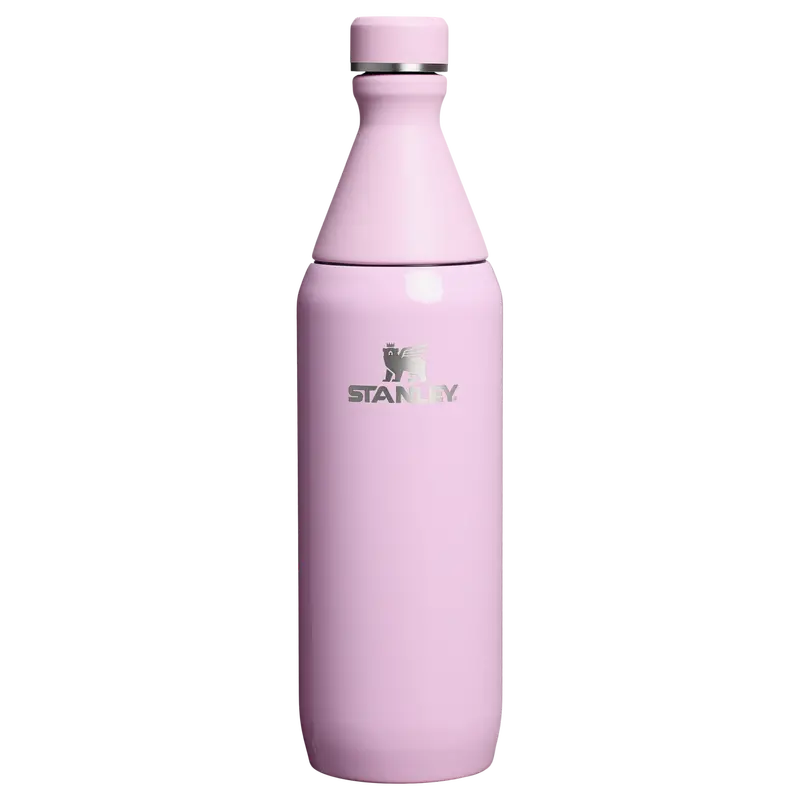 Stanley All Day Slim Bottle | Sleek 12 Oz Stainless Design 1